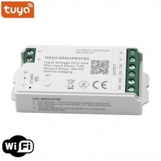 Smart WiFi Tuya Dimmer Μηχανισμός για Ταινία LED CCT 15A 12-24V DC 30-3619